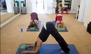 saines habitudes de vie